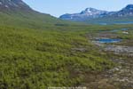 Still following the trail to Kvikkjokk