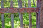 Kvikkjokk scenes...old fence