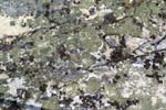 Kvikkjokk-Rocks and Lichen