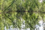 On the river-an obscure channel