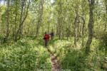 The trail at last. See you in a few hours.