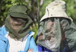 Mosquitos? What mosquitos?