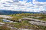 View from Prinskullen hike...